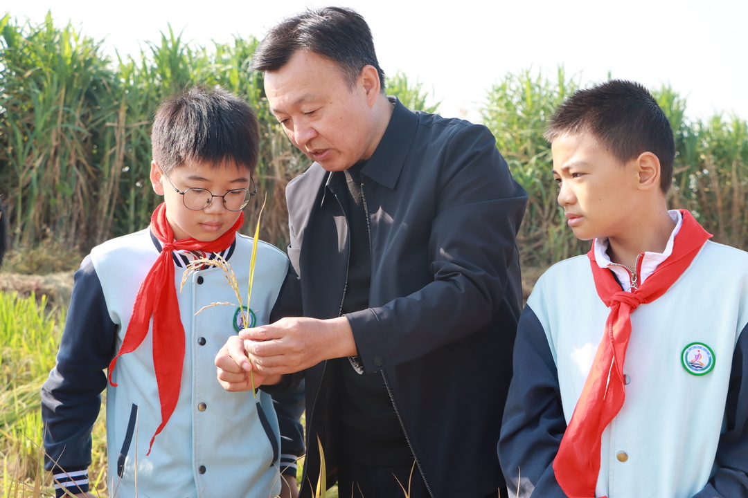 微信图片_20251028175259_173_6.jpg